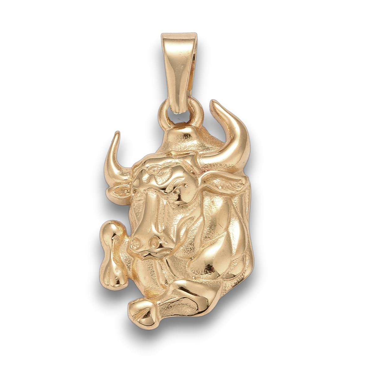 LJ VEDHÆNG STJERNETEGN