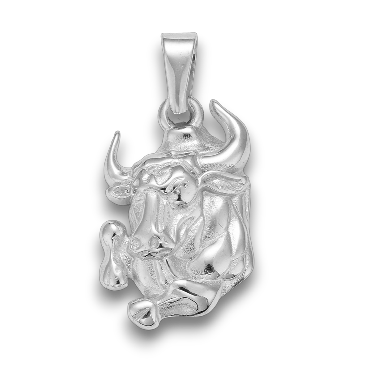 LJ VEDHÆNG STJERNETEGN