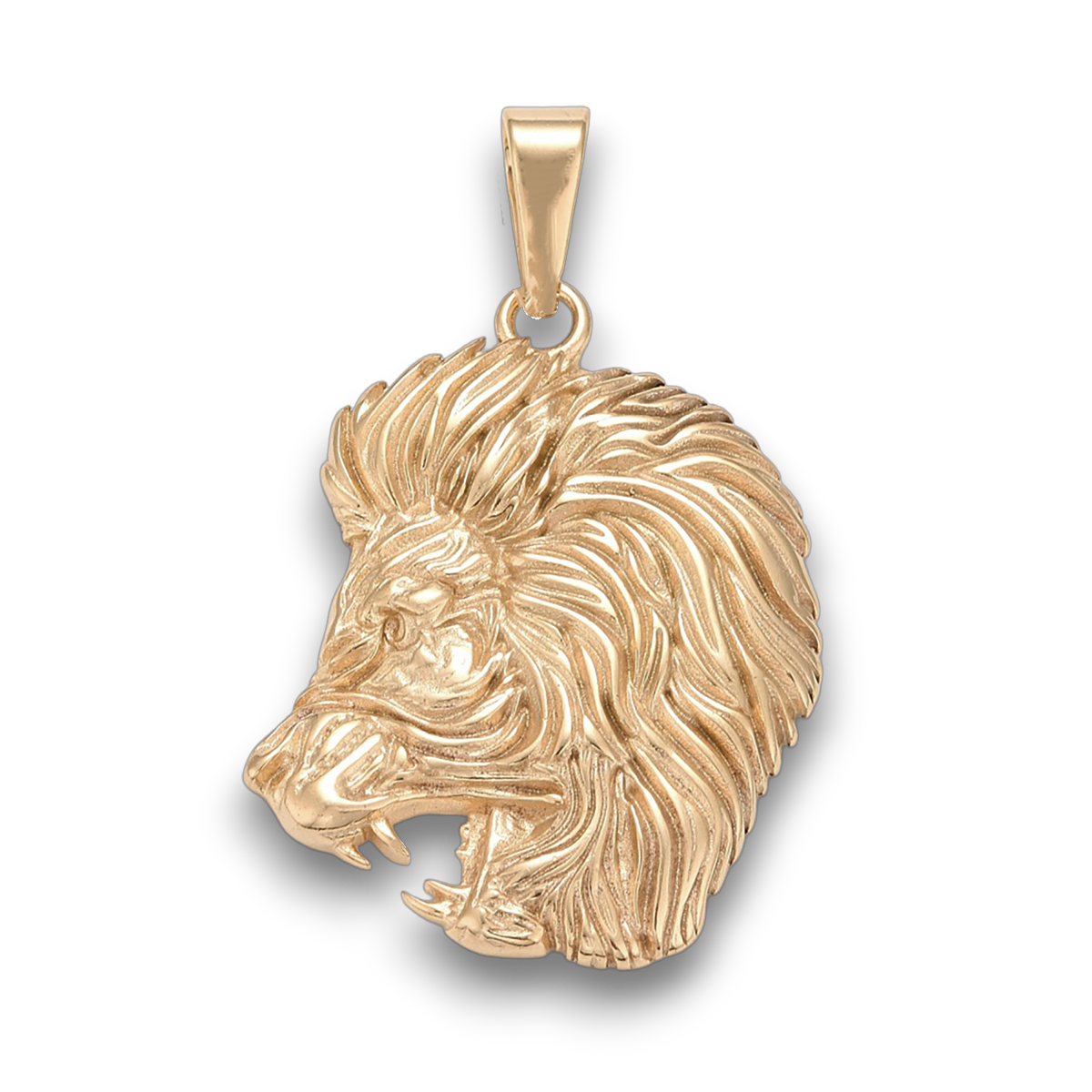 LJ VEDHÆNG STJERNETEGN